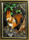 Eichhörnchen zwischen den Baumästen, Gundula Oppermann, 1989