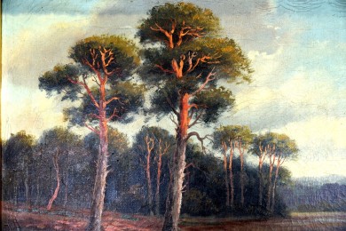 Märkische Seenlandschaft mit Kiefern, F. Fritze, 1918