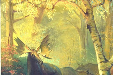 Hirsch im Laubwald, Impressionist, Stornitzky, 1931