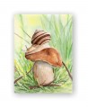 Schnecke auf dem Steinpilz, porcini and snail, Aquarell, Evelin Oelschlägel, 2018