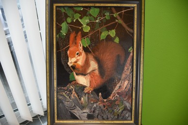 Eichhörnchen zwischen den Baumästen, Gundula Oppermann, 1989