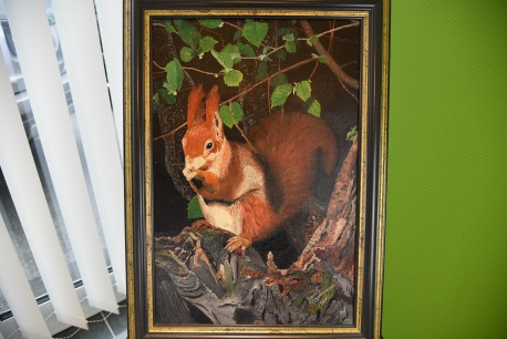 Eichhörnchen zwischen den Baumästen, Gundula Oppermann, 1989