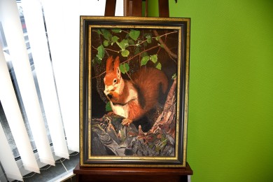 Eichhörnchen zwischen den Baumästen, Gundula Oppermann, 1989