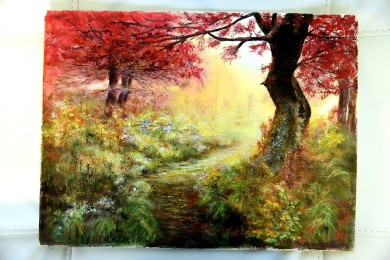 Sonnenlicht am frühen Morgen im Wald, Aavy, 2015