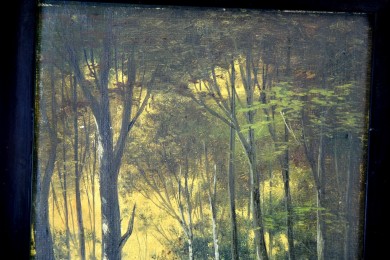 Fluss im tiefen, dunklen Wald, F. Pfenningschmidt, 1910