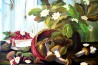 Stillleben, Pilze im Körbchen, Himbeeren in der Schale, Svitlana Andreyeva, 2015