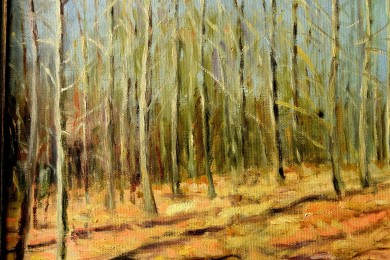 Kahler Laubwald ohne Blätter, Herbert Hamnerschmidt, 1979