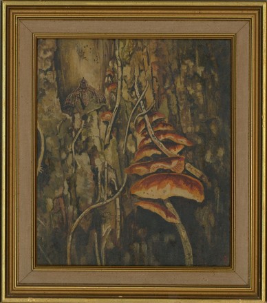 Pilze und Motten, Courtenay Hosking, 1968