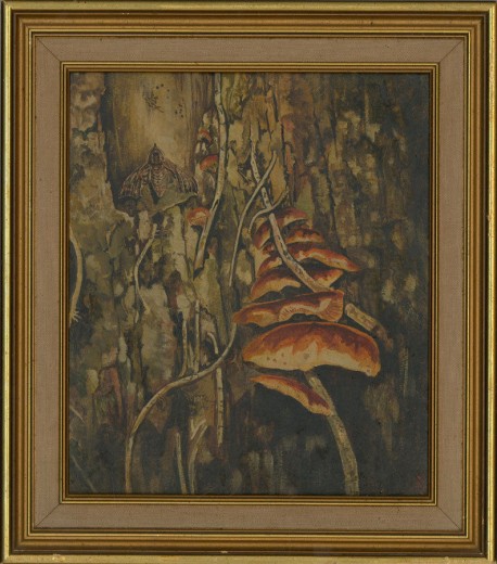 Pilze und Motten, Courtenay Hosking, 1968