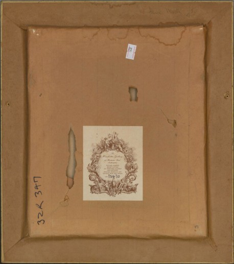 Pilze und Motten, Courtenay Hosking, 1968