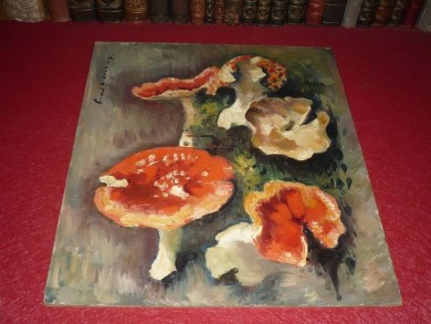 Die Pilze "Les champignons", Charles Picart Le Doux, 1949