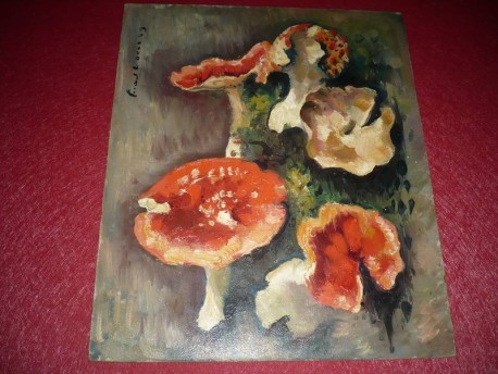 Die Pilze "Les champignons", Charles Picart Le Doux, 1949
