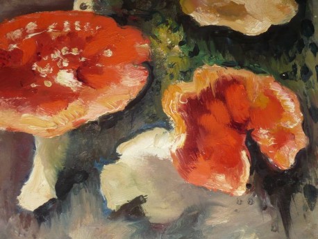 Die Pilze "Les champignons", Charles Picart Le Doux, 1949