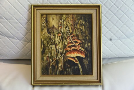 Pilze und Motten, Courtenay Hosking, 1968