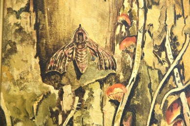 Pilze und Motten, Courtenay Hosking, 1968