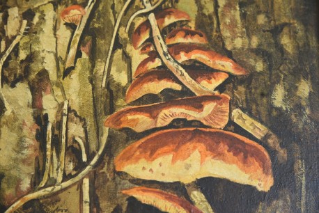 Pilze und Motten, Courtenay Hosking, 1968