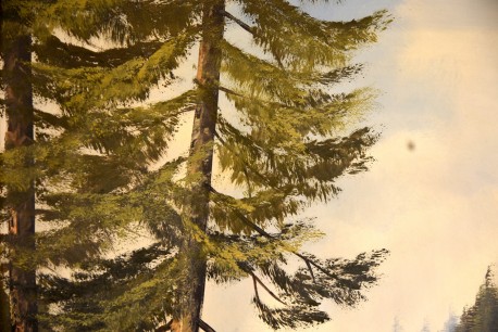 Stiller Waldsee, Medick, 1891