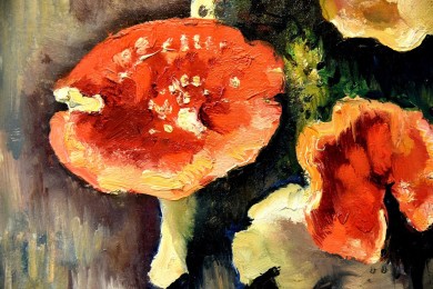 Die Pilze "Les champignons", Charles Picart Le Doux, 1949