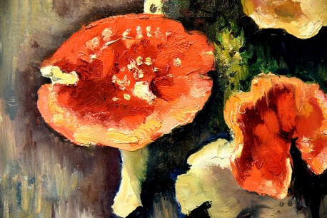 Die Pilze "Les champignons", Charles Picart Le Doux, 1949