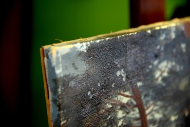 Waldlandschaft mit Auerhahn und Henne, G. Johansson, 1902