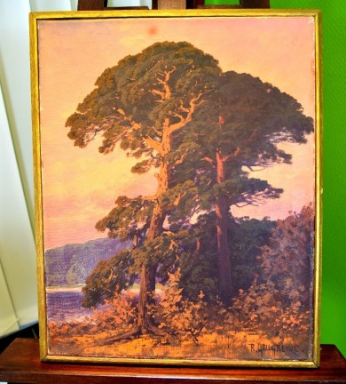 Märkische Kiefer, Rudolf Hellgrewe, 1896