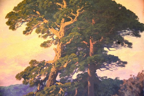 Märkische Kiefer, Rudolf Hellgrewe, 1896