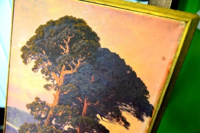 Märkische Kiefer, Rudolf Hellgrewe, 1896