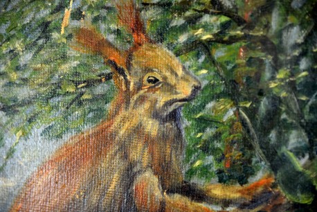 Der Eichkater im Geäst, Kutz, 1948