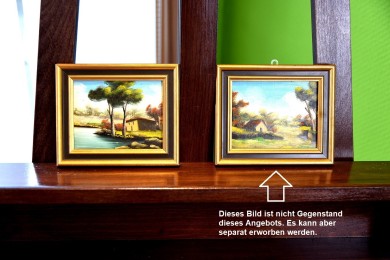 Das Haus am See im Sommer, Miniatur, 1978