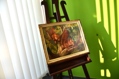 Zwei Eichhörnchen im Baum, F. Freund, 1948