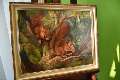 Zwei Eichhörnchen im Baum, F. Freund, 1948