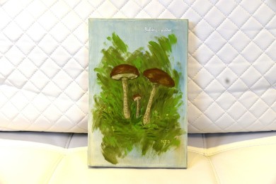 Botaniker Lehrmaterial Steinpilze, Maria T. Bonati, 1972