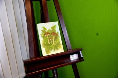 Botaniker Lehrmaterial Steinpilze, Maria T. Bonati, 1972