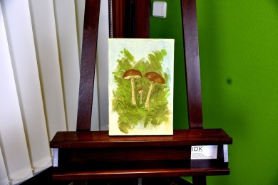 Botaniker Lehrmaterial Steinpilze, Maria T. Bonati, 1972