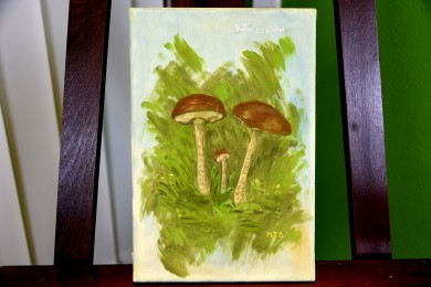 Botaniker Lehrmaterial Steinpilze, Maria T. Bonati, 1972