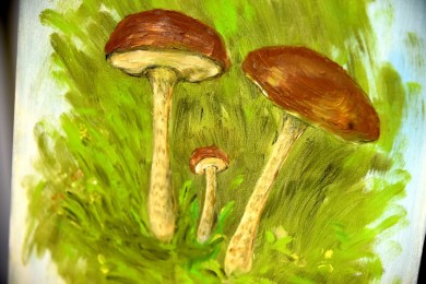 Botaniker Lehrmaterial Steinpilze, Maria T. Bonati, 1972