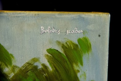 Botaniker Lehrmaterial Steinpilze, Maria T. Bonati, 1972