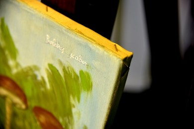 Botaniker Lehrmaterial Steinpilze, Maria T. Bonati, 1972