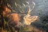 Hirsch in der Brunst, unsigniert, 1902