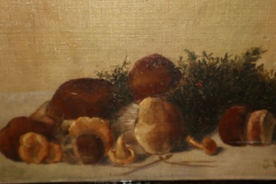 J. Leisterer ,Steinpilze