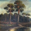 Wald & Landschaft