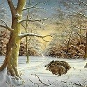 Winter & Schnee